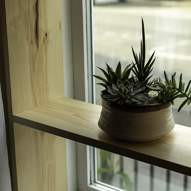 Beautiful pine shelves with houseplants and concealed mortice and tenon joinery Beautiful pine shelves with houseplants and concealed mortice and tenon joinery